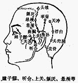 客主人 位置|醫砭 » 中華針灸 » 上關